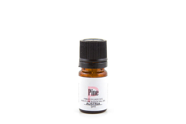 Pine Organic Essential Oil